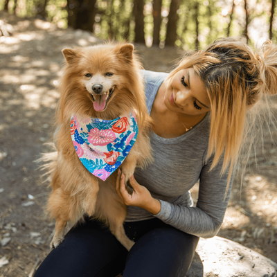 Dog Bandana - - by HappypetHQ