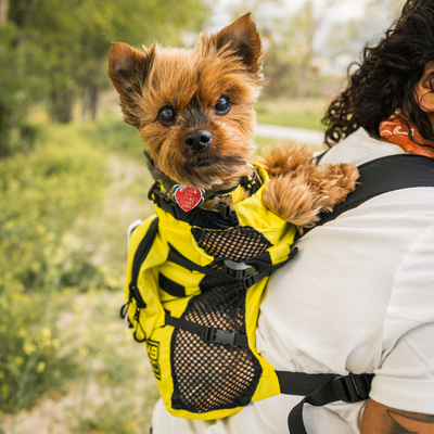 K9 Sport Sack® Walk- On with Harness & Storage