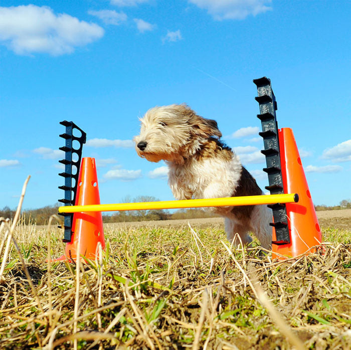 FitPAWS Hurdle Set