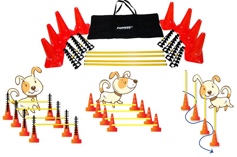 FitPAWS Hurdle Set