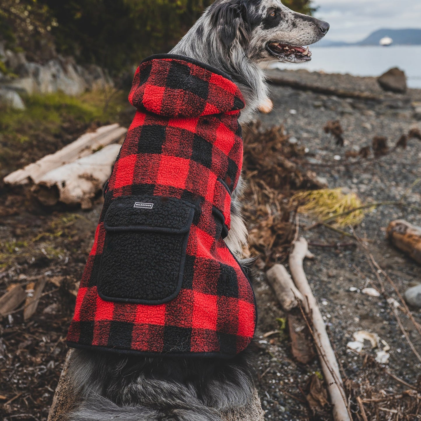 Wilderdog Plaid Shacket