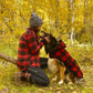 Wilderdog Plaid Shacket