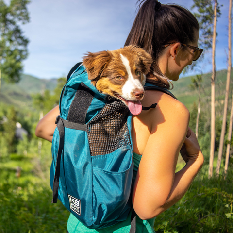 K9 Sport Sack® Trainer