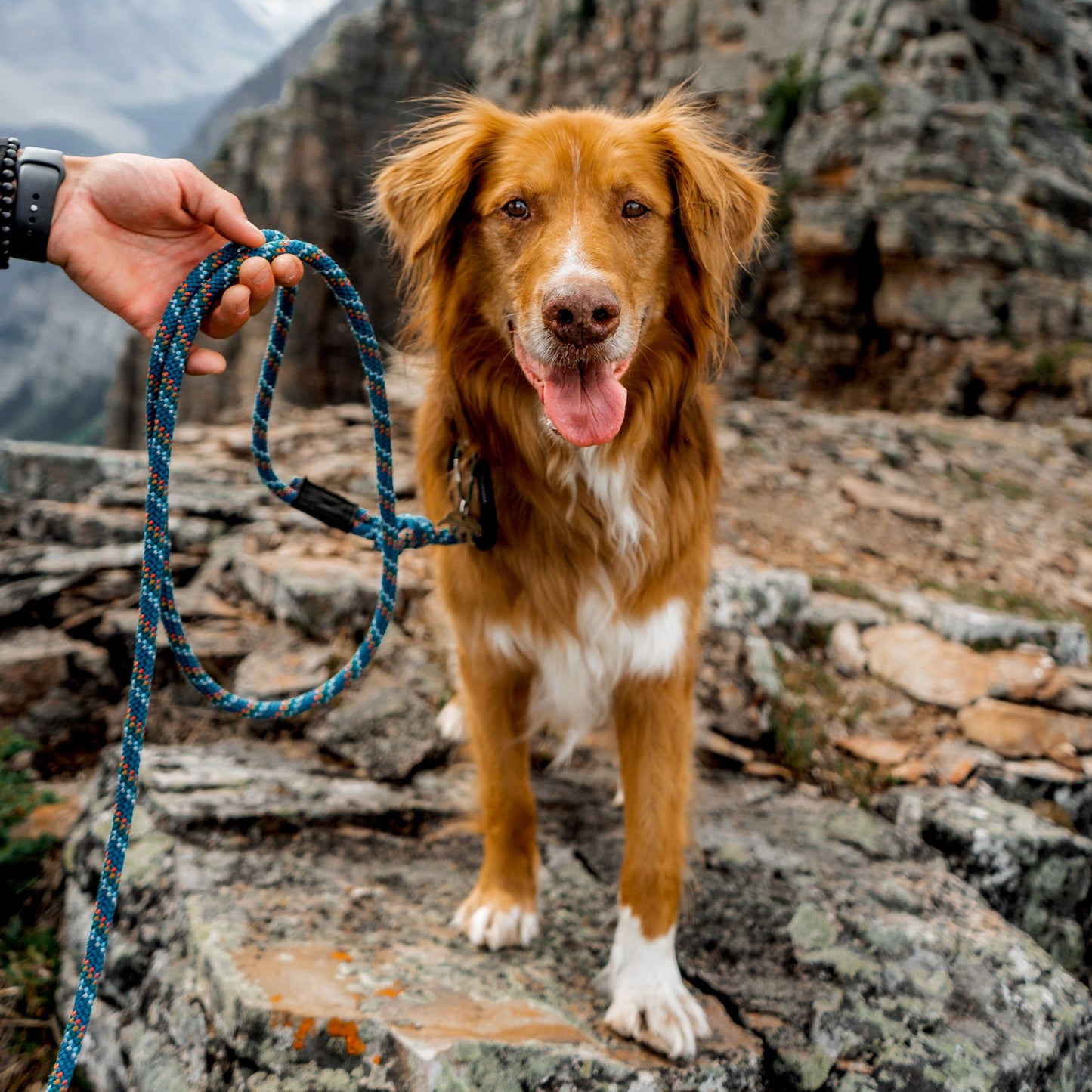 Wilderdog Reflective Leash