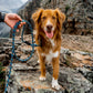 Wilderdog Reflective Leash