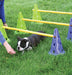 FitPAWS CanineGym Gear Agility Kit