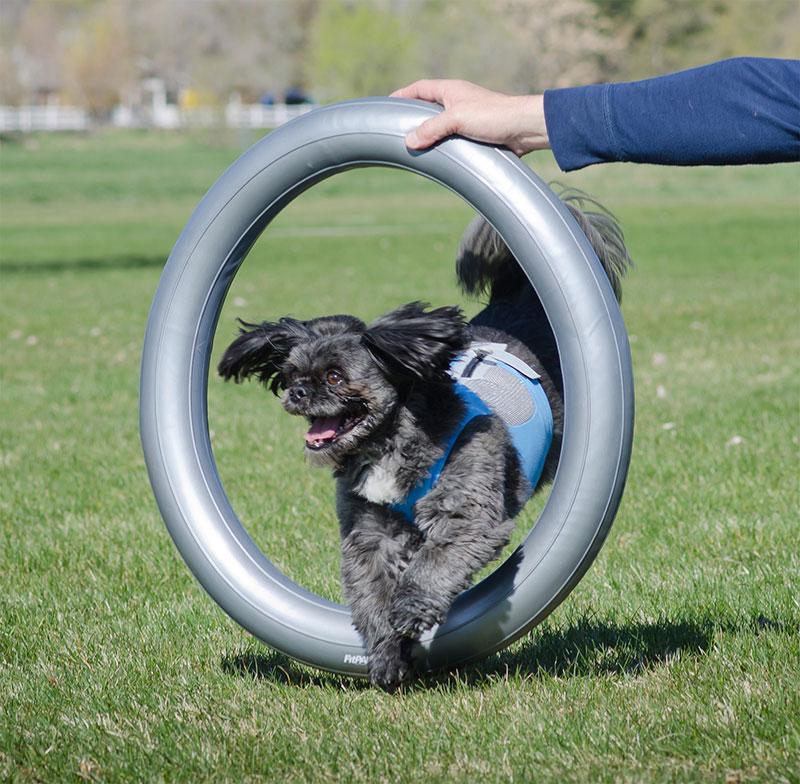 FitPAWS Circular Product Holder