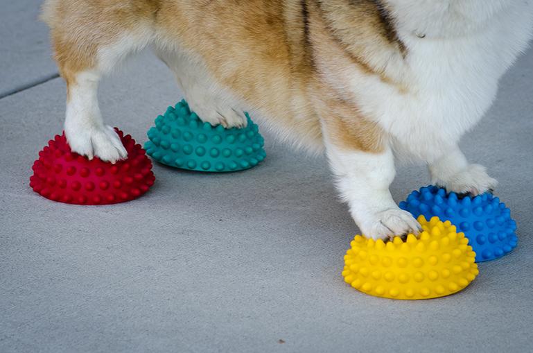 FitPaws Paw Pods, Anti-Skid Bottom (Set of 4) - - Training by FitPAWS