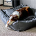 portable Dog beds