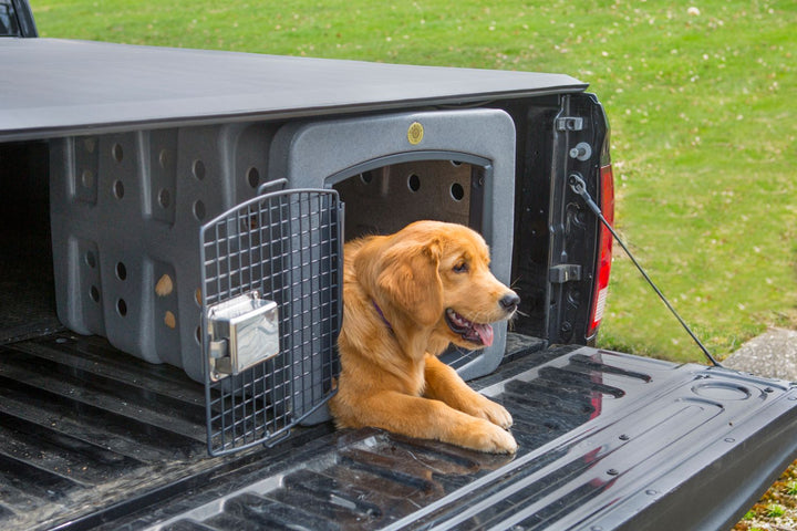 Dakota283 T1 Low Profile Kennel - - Dog Kennels & Runs by Dakota 283
