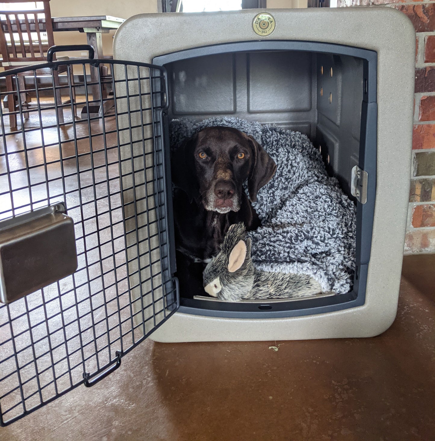 Dakota283 G3 Medium Framed Kennel