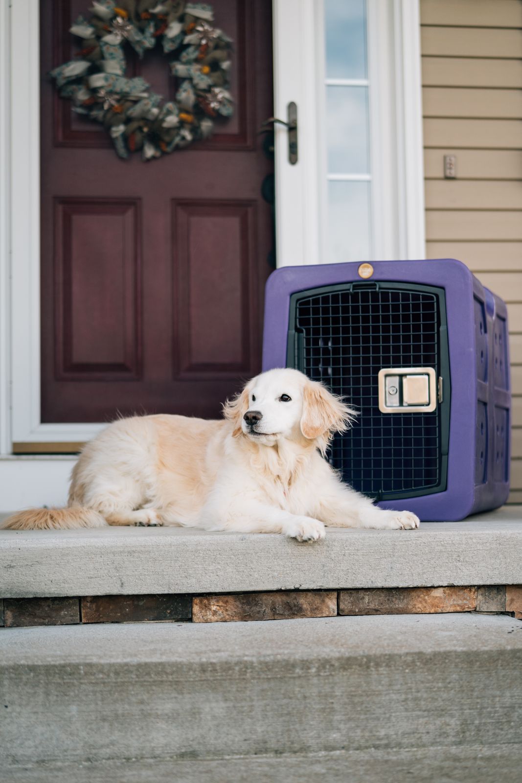 Dakota283 G3 Medium Framed Kennel