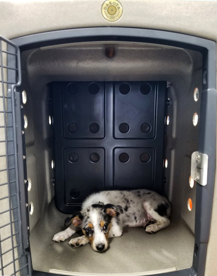 Dakota283 Forever Insert Medium Kennel Divider for Puppies - - by Dakota 283
