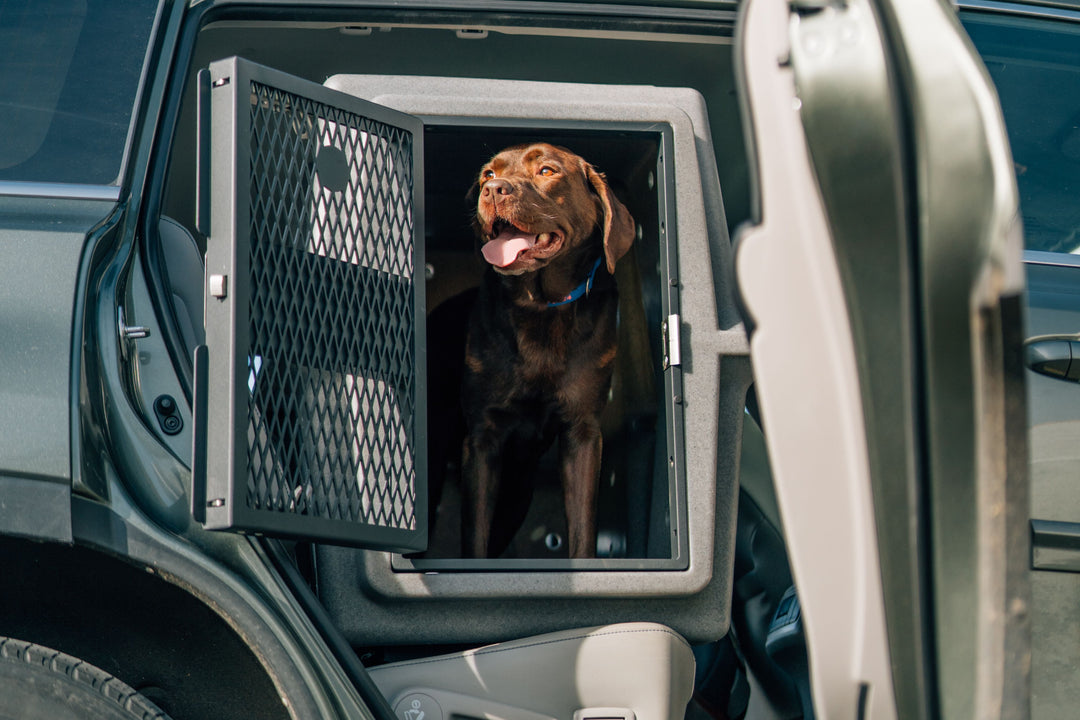 Dakota283 Hero Kennel - - Dog crates by Dakota 283