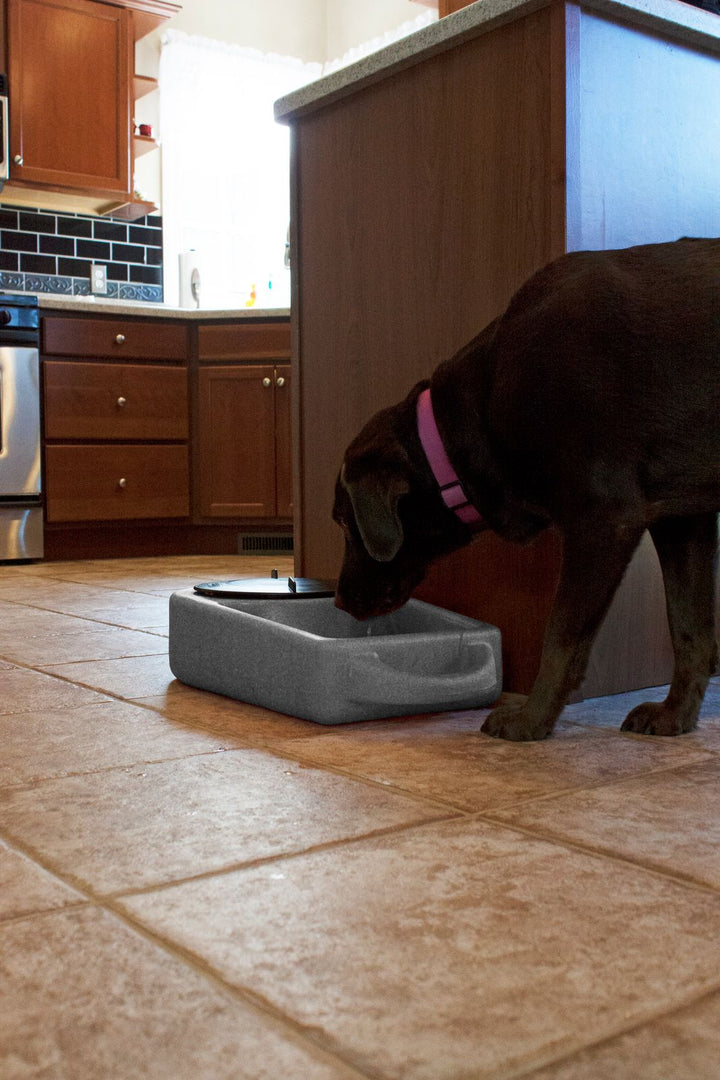 Dakota283 Dine N Dash – Feeding and Watering System - - by Dakota 283