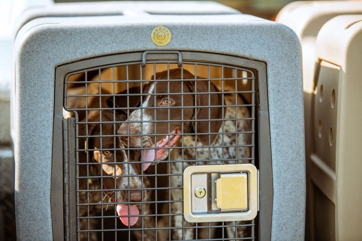 Dakota283 G3 Medium Framed Kennel - - Dog crates by Dakota 283